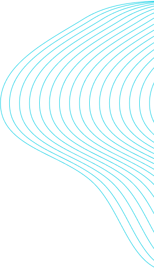 company-transparency-shape-1-1-rtl